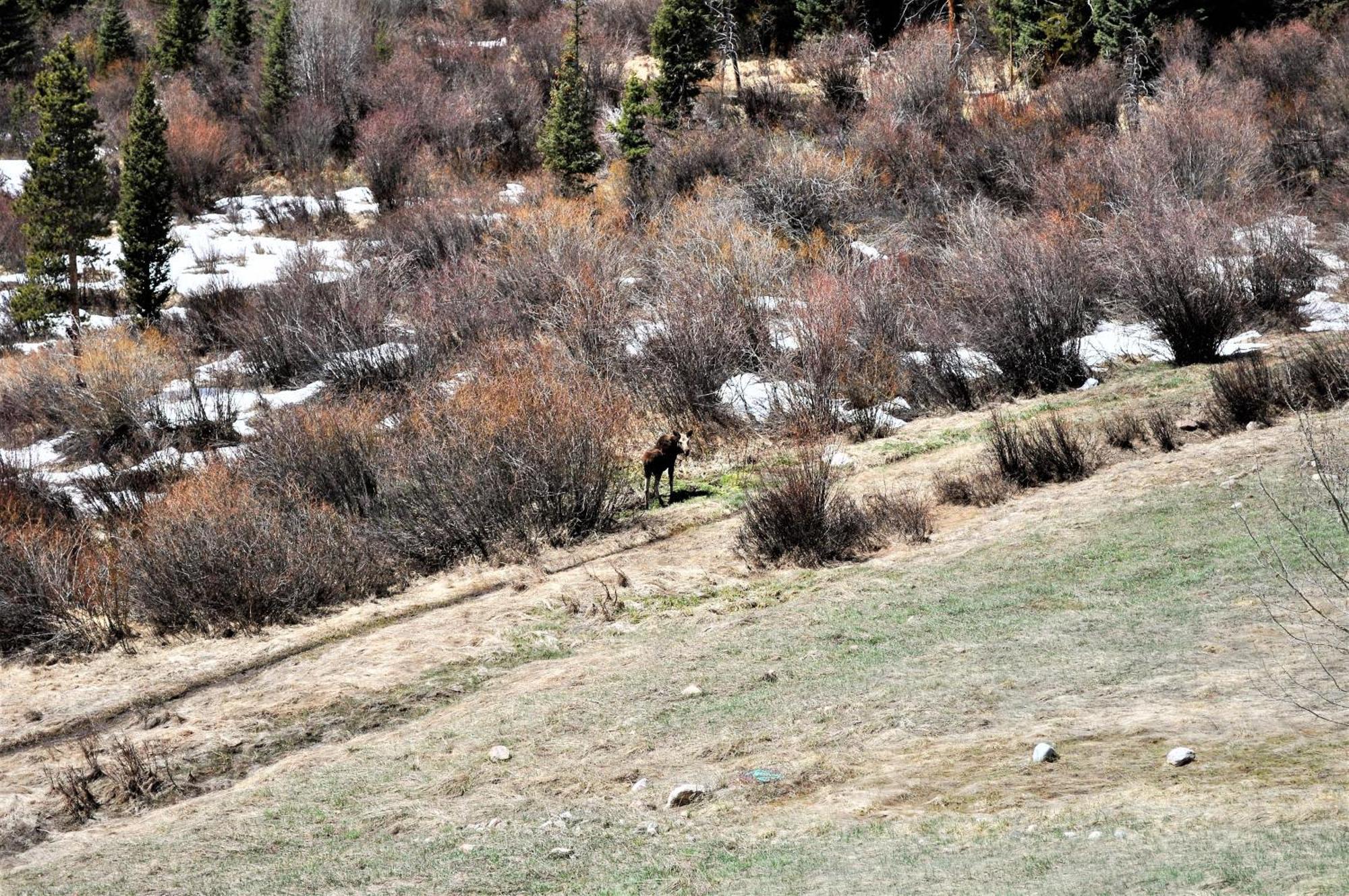 Forest Park 3 Bed 4 Bath Twnhm Htjm Silverthorne Exterior photo