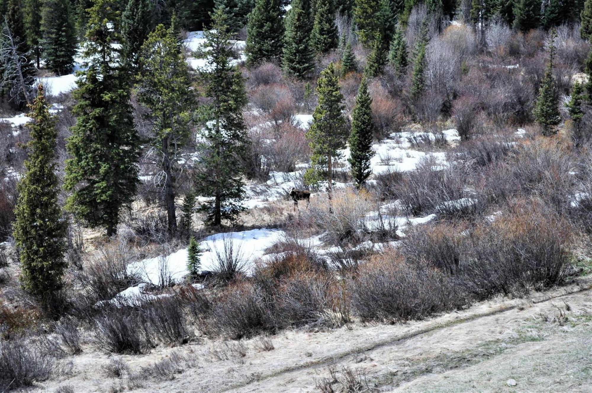 Forest Park 3 Bed 4 Bath Twnhm Htjm Silverthorne Exterior photo